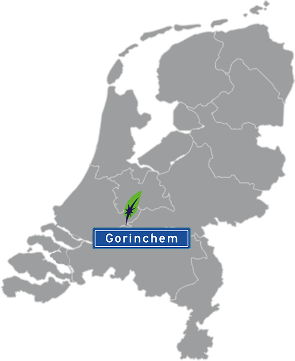 Grijze kaart van Nederland met Gorinchem aangegeven voor maatwerk taalcursus Frans zakelijk - blauw plaatsnaambord met witte letters en Dagnall veer - transparante achtergrond - 600 * 733 pixels
